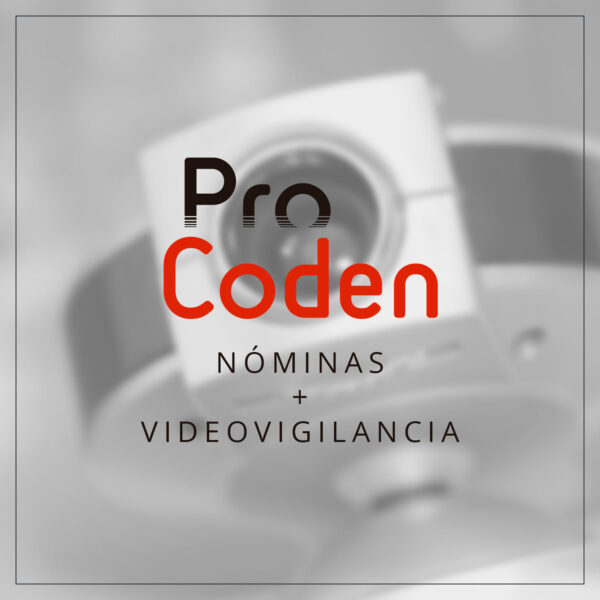 pyme nominas + videovigilancia